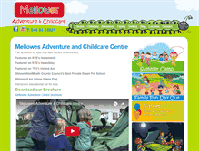 Tablet Screenshot of mellowes.ie